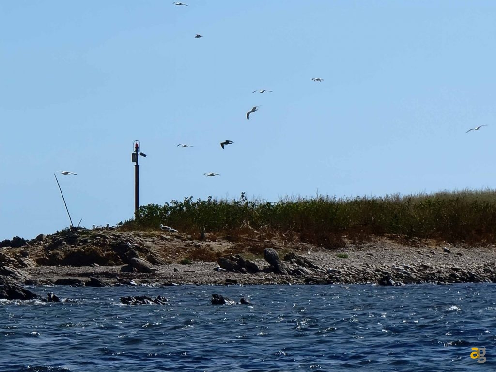 confronto-top-cameraphone