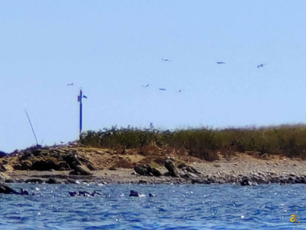 confronto-top-cameraphone