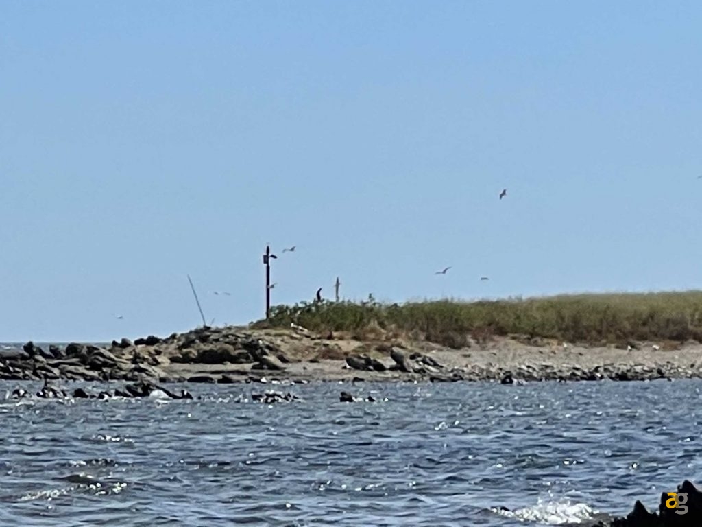 confronto-top-cameraphone