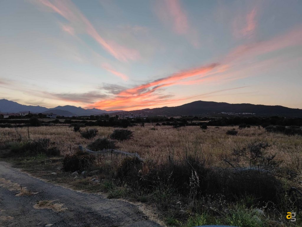 confronto-top-cameraphone