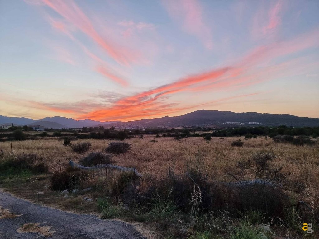 confronto-top-cameraphone