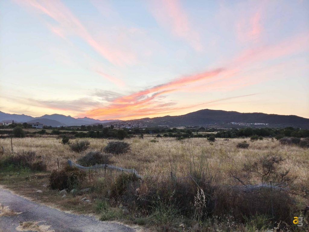 confronto-top-cameraphone