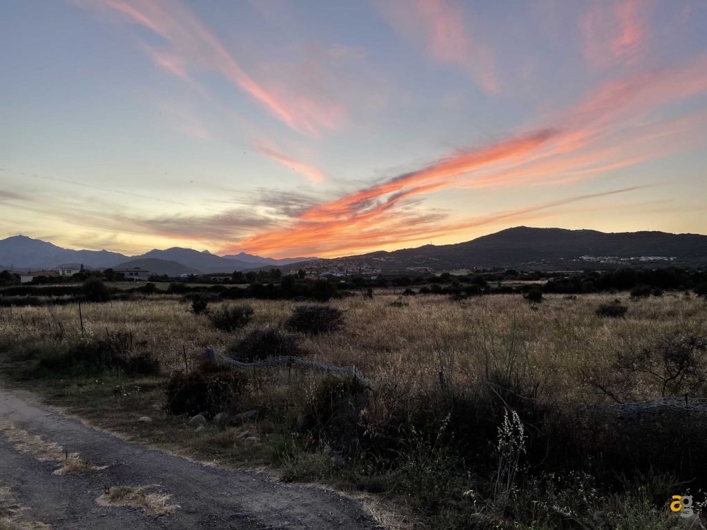 confronto-top-cameraphone