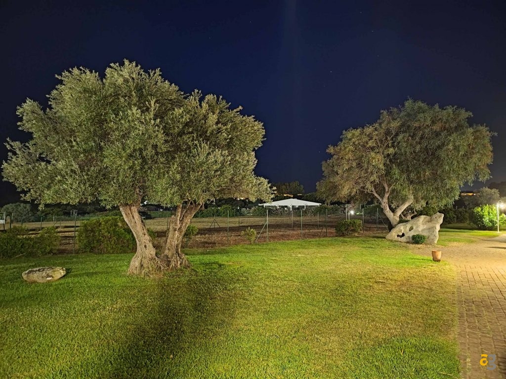 confronto-top-cameraphone