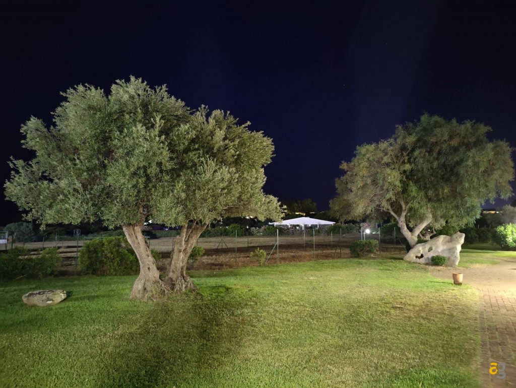 confronto-top-cameraphone