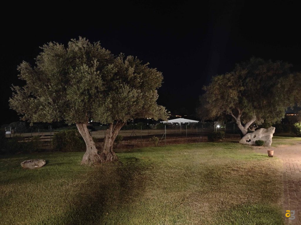 confronto-top-cameraphone