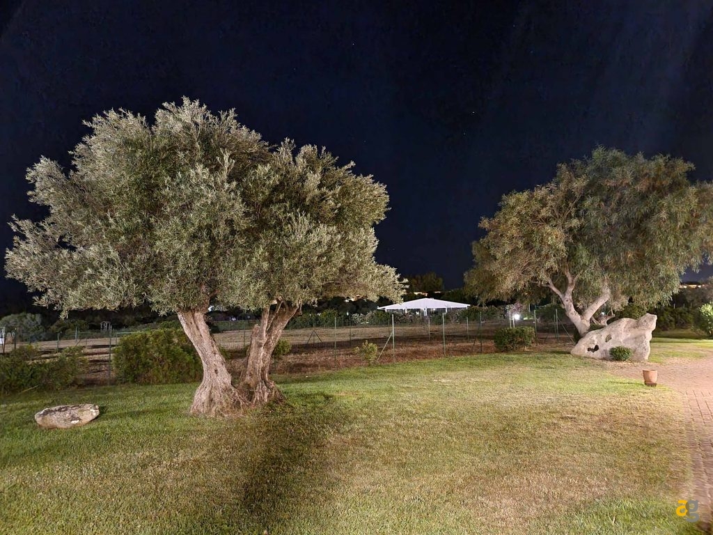 confronto-top-cameraphone