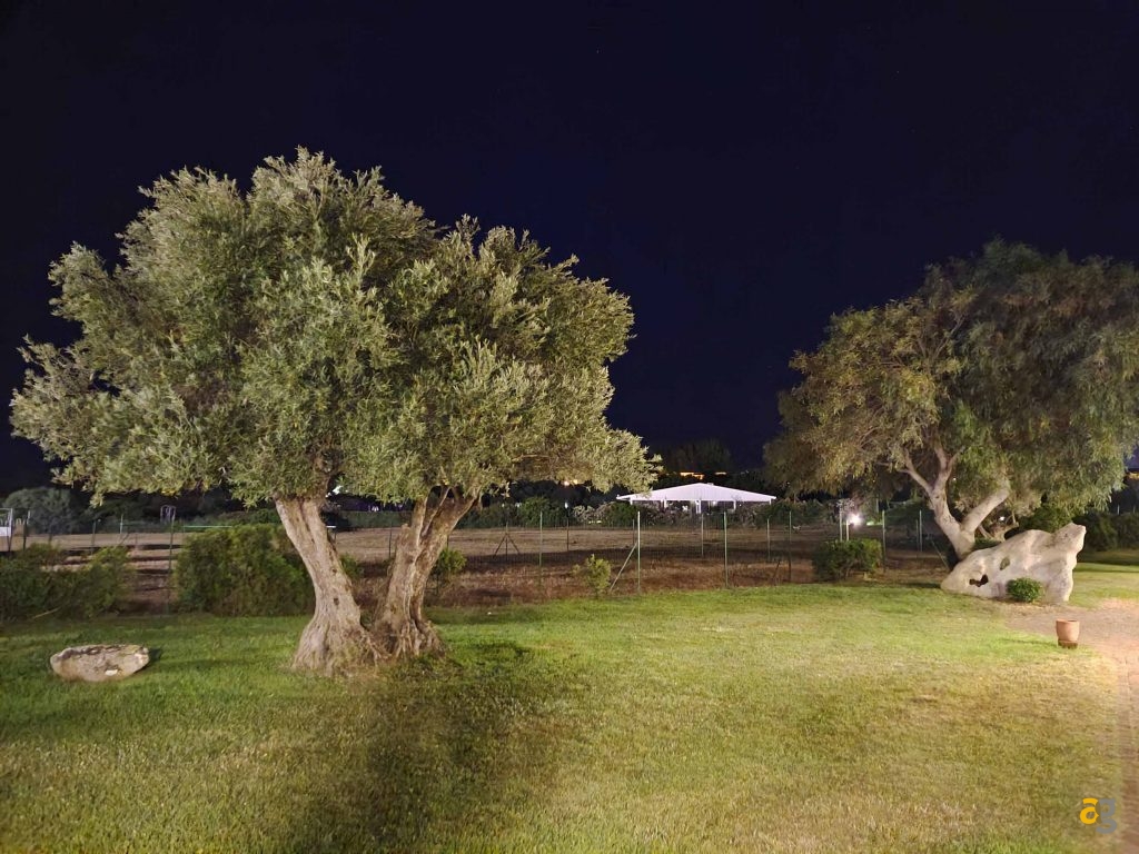 confronto-top-cameraphone