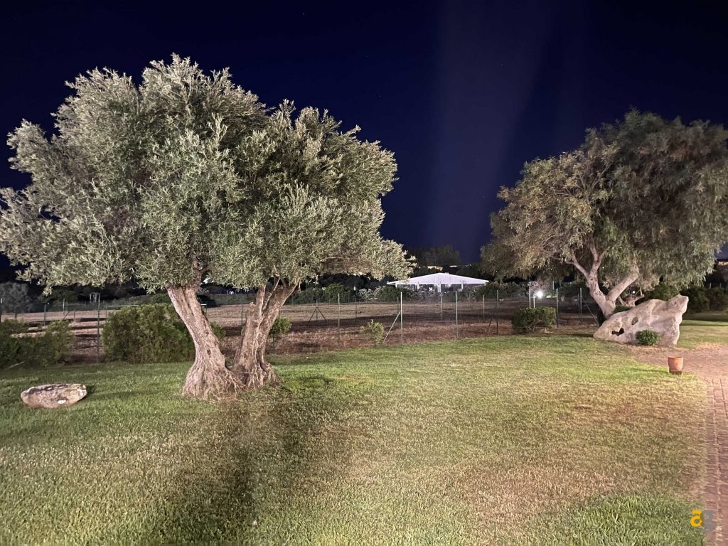 confronto-top-cameraphone