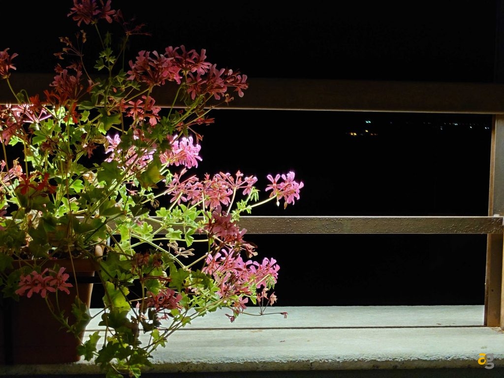 pizza-buona-play-sony-xperia-1-iii