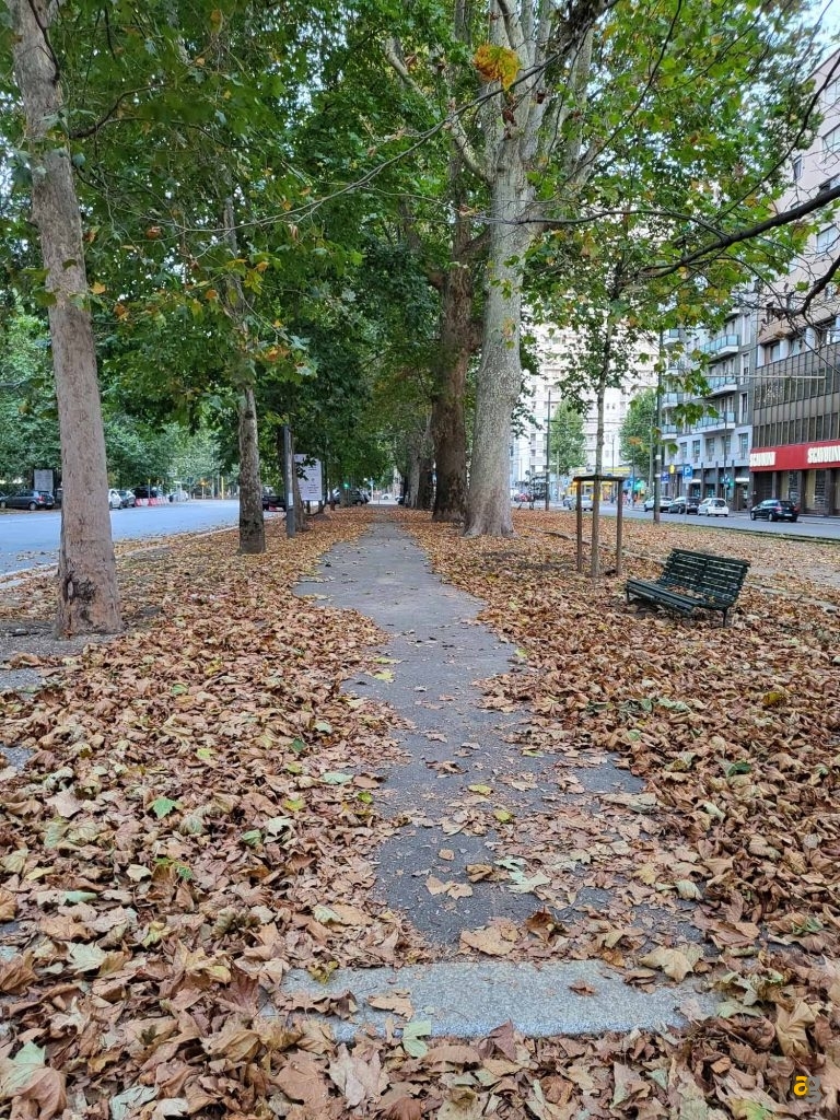 recensione-galaxy-z-flip-3-5g