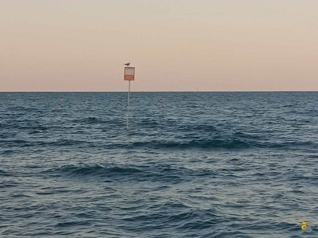 recensione-vivo-v21-5g