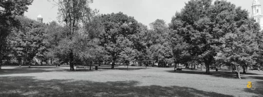 oneplus-9-9pro-xpan-hasselblad