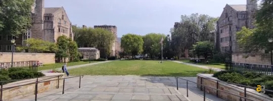 oneplus-9-9pro-xpan-hasselblad