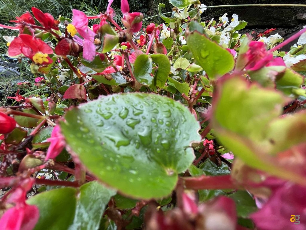 recensione-apple-iphone-13