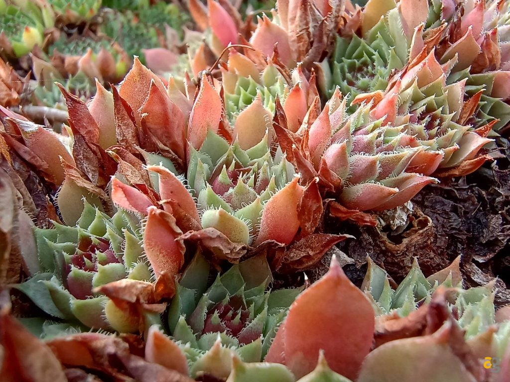 recensione-motorola-edge-20-lite