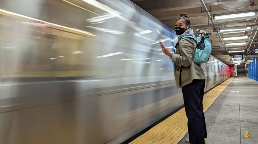 google-pixel-6-6-pro-italia-specifiche-prezzi