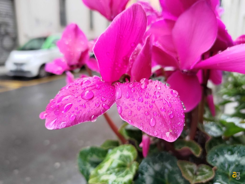 recensione-asus-rog-phone-5s-pro