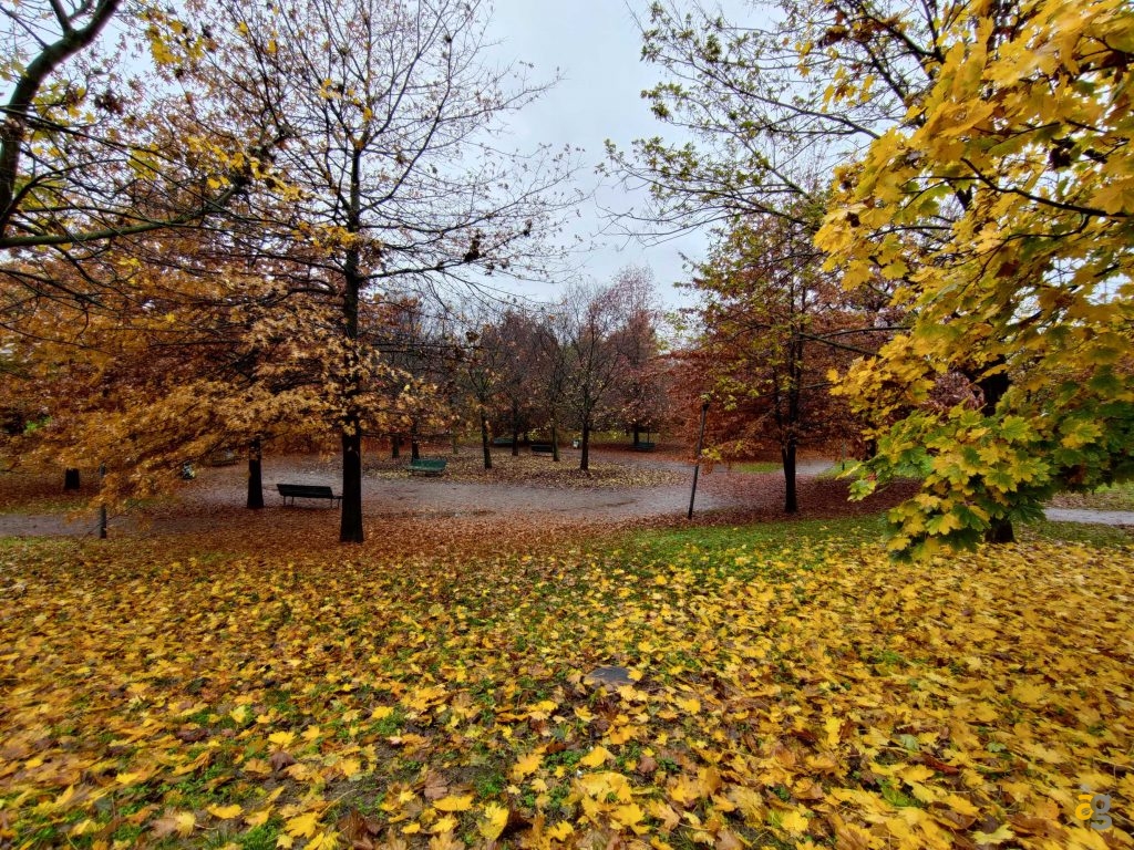 recensione-asus-rog-phone-5s-pro