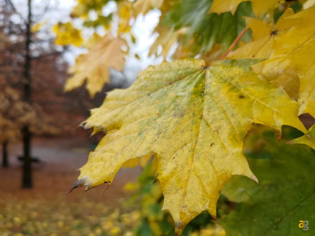 recensione-asus-rog-phone-5s-pro