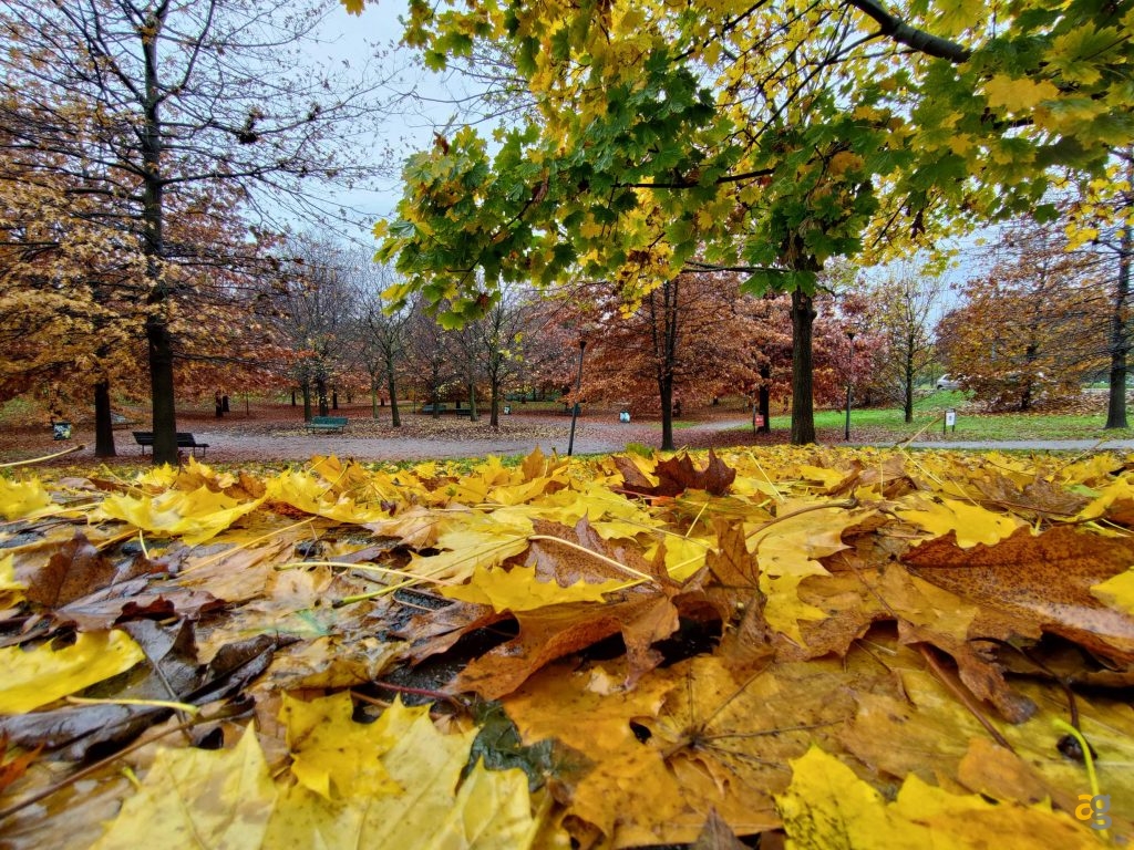 recensione-asus-rog-phone-5s-pro