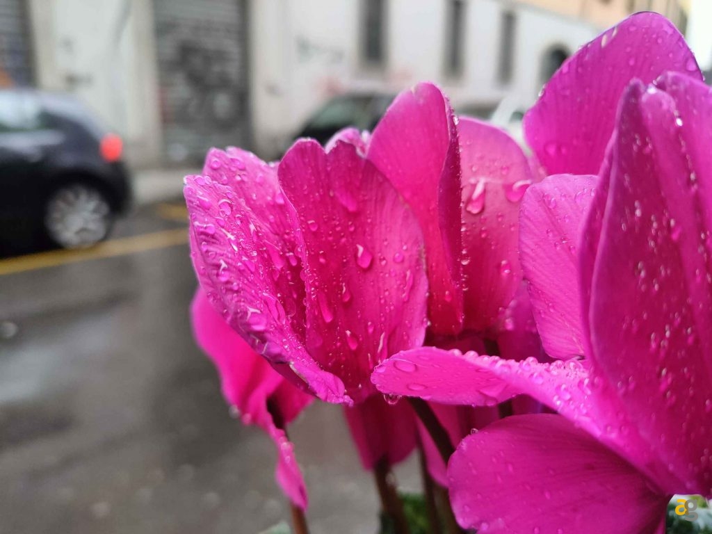 quale-scegliere-confronto-realme-gt