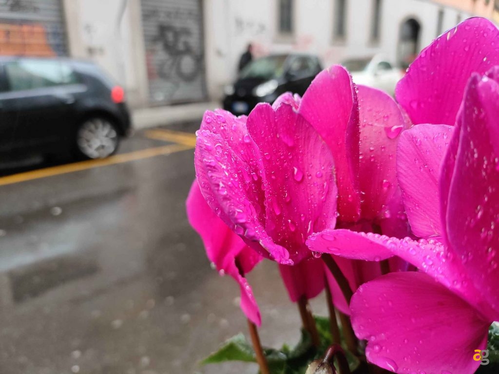 quale-scegliere-confronto-realme-gt