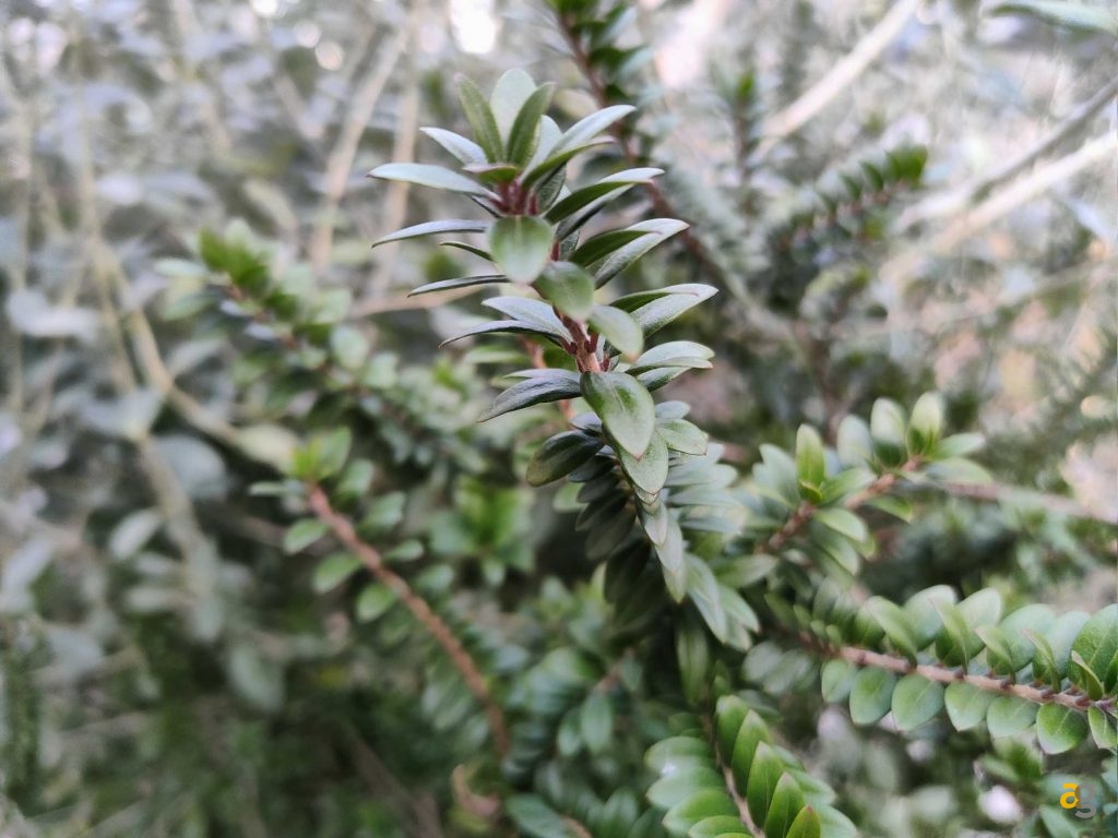 recensione-realme-gt-neo-2