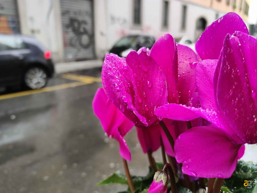 quale-scegliere-confronto-realme-gt