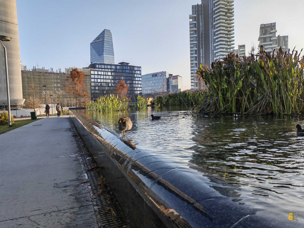 recensione-huawei-p50-pocket