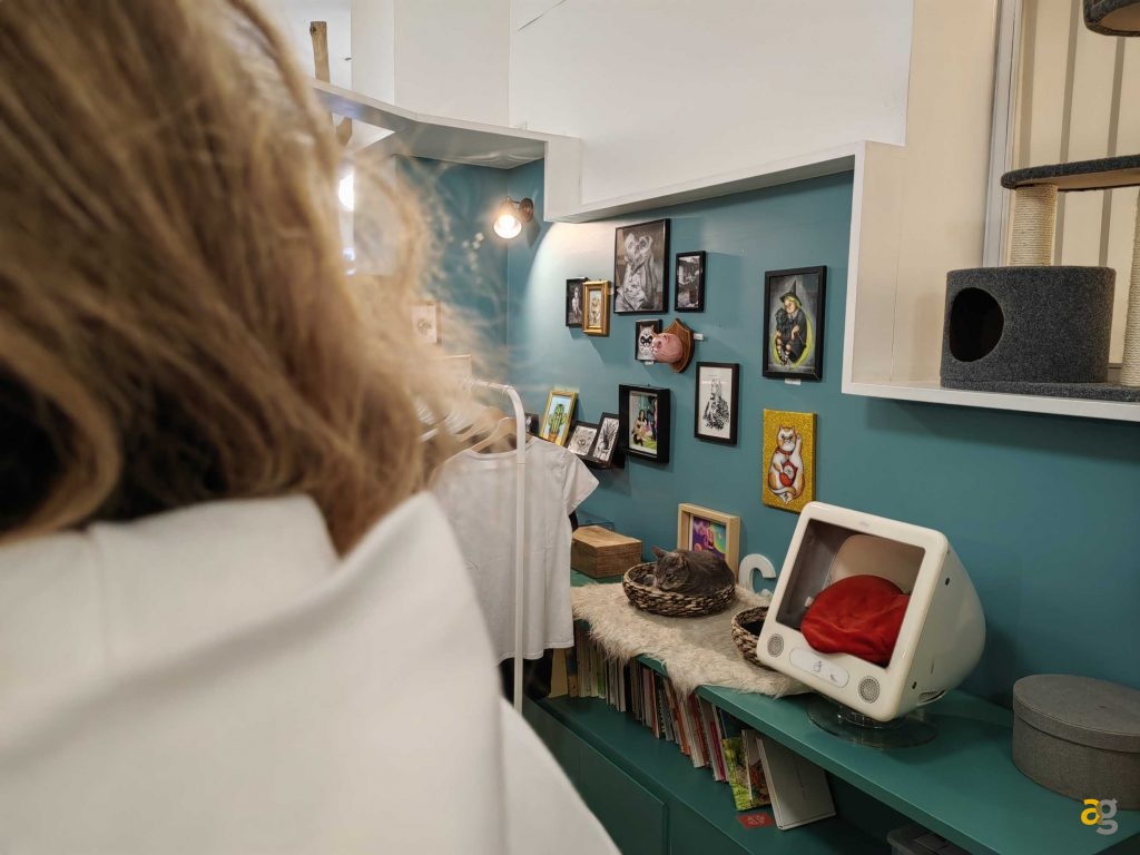 recensione-huawei-p50-pocket