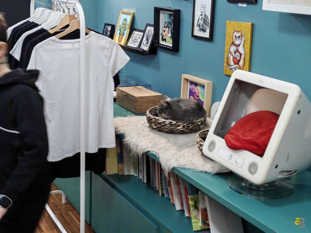 recensione-huawei-p50-pocket