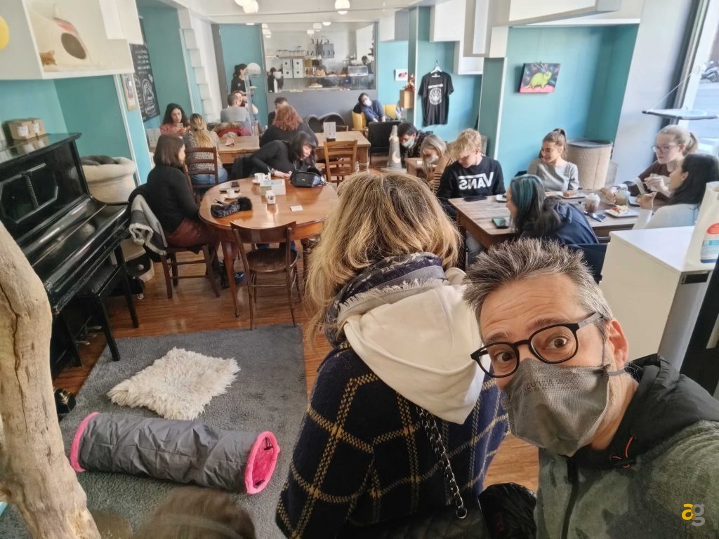 recensione-huawei-p50-pocket