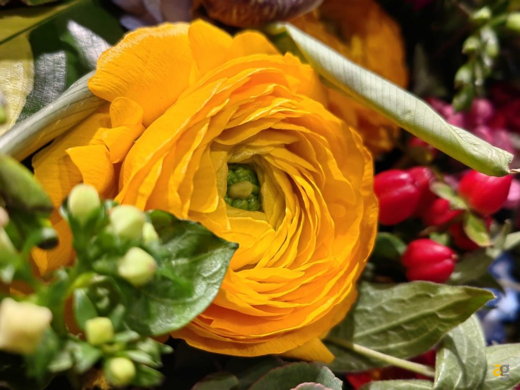 recensione-huawei-p50-pro