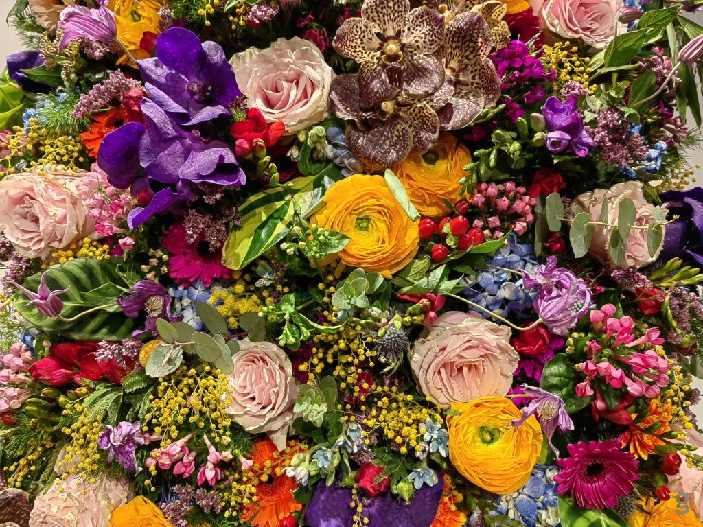 recensione-huawei-p50-pro