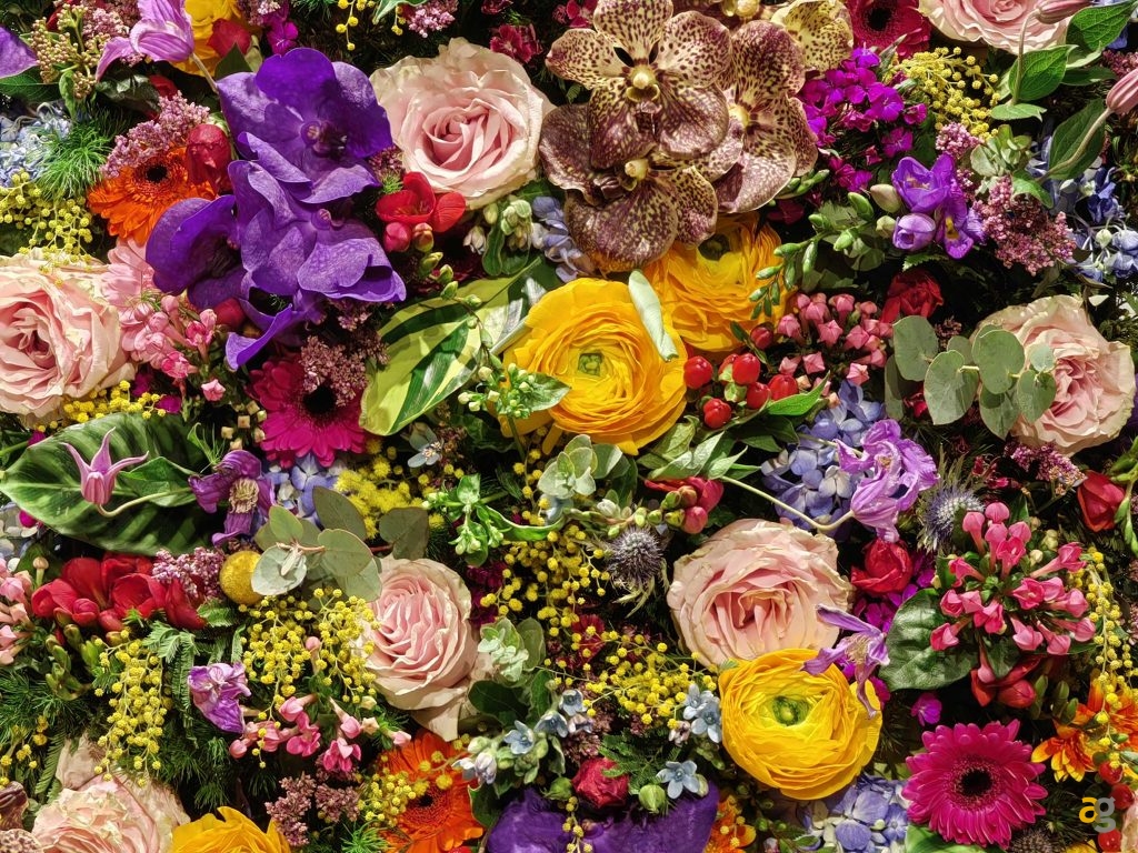 recensione-huawei-p50-pro