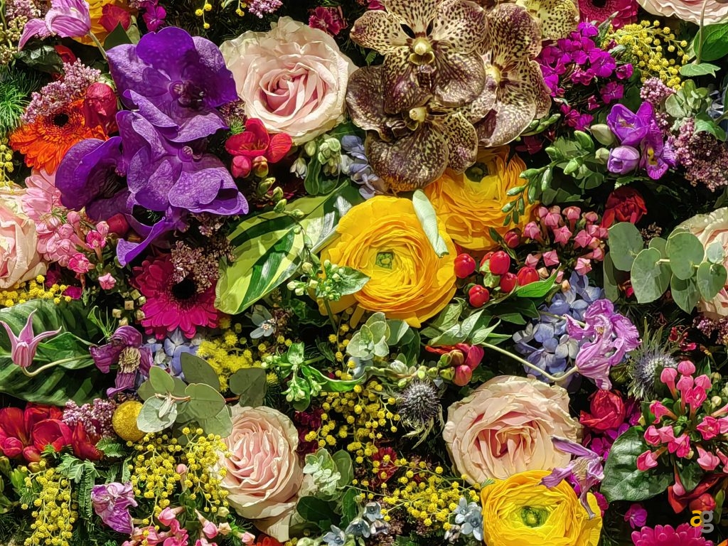 recensione-huawei-p50-pro