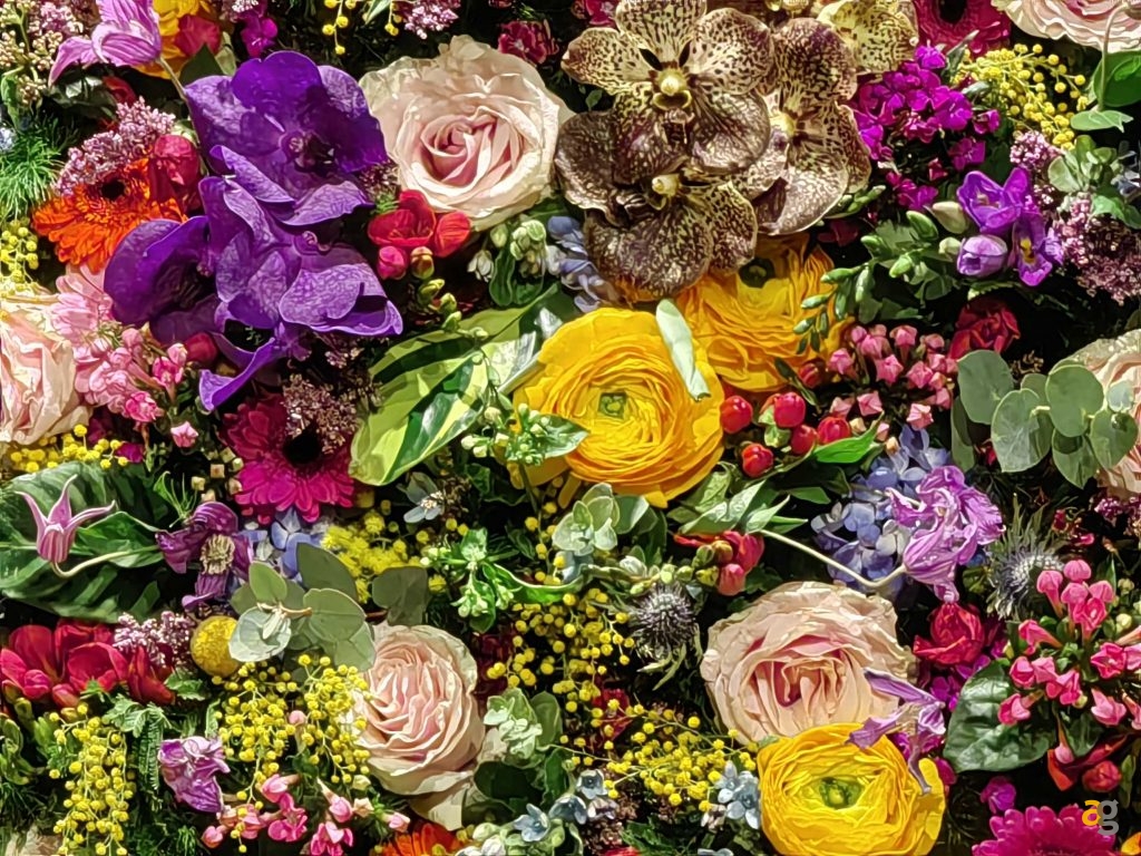 recensione-huawei-p50-pro