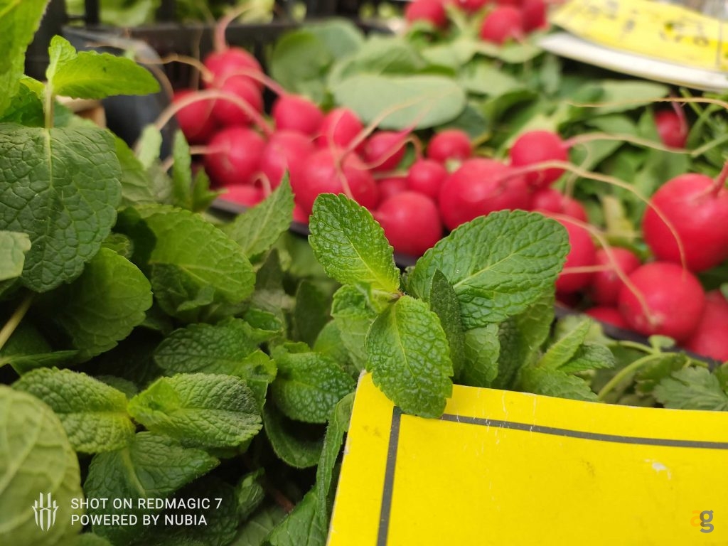 snapdragon-8-gen-1-recensione-redmagic-7