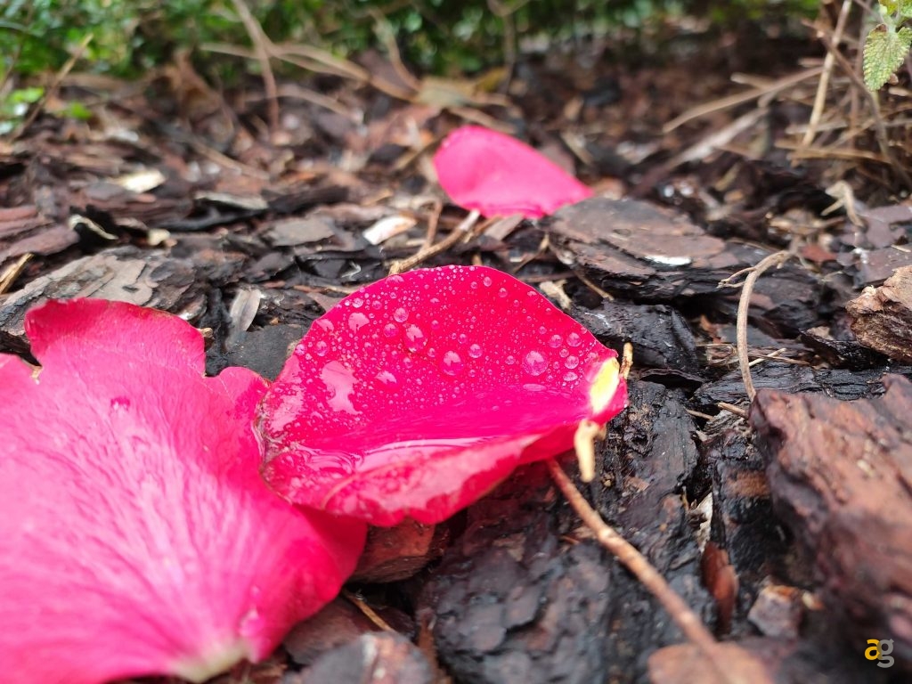 snapdragon-8-gen-1-recensione-redmagic-7