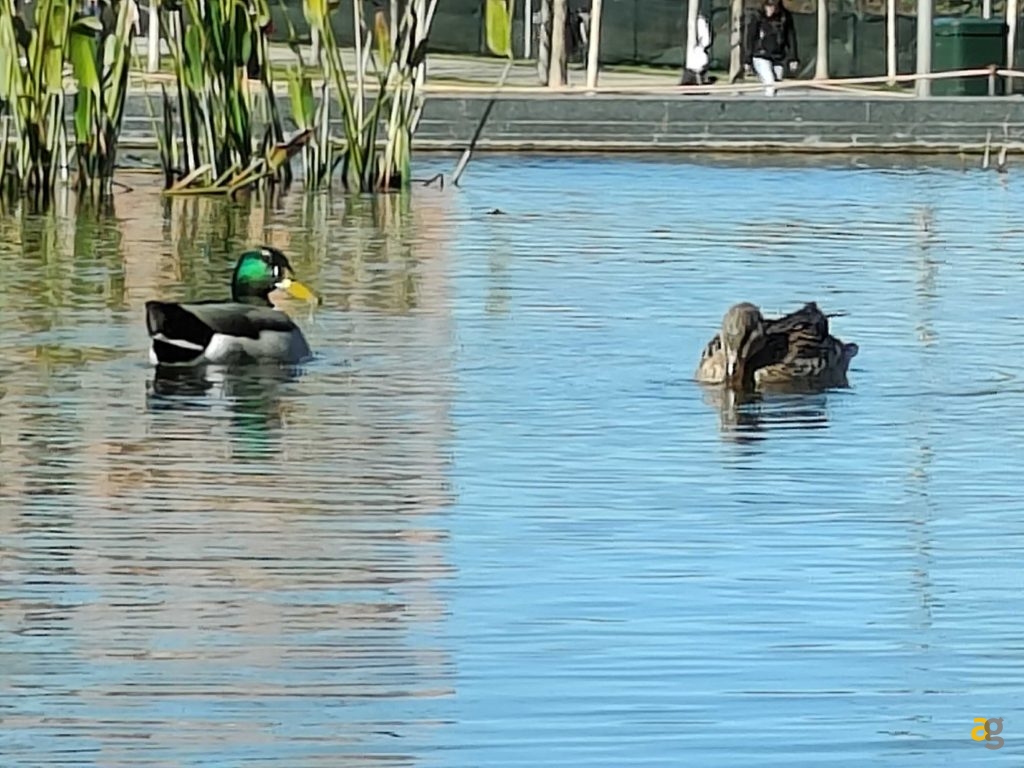 recensione-realme-gt2-pro