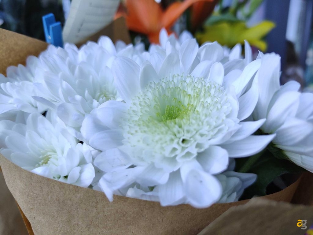 recensione-realme-gt2-pro