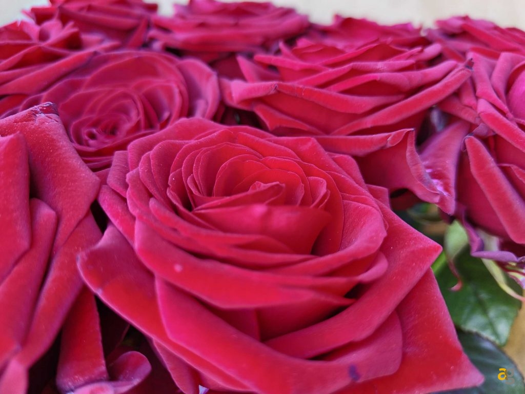 recensione-realme-gt2-pro