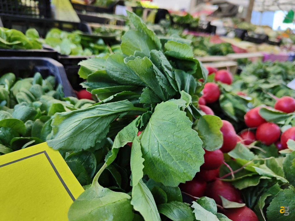 recensione-realme-gt2-pro