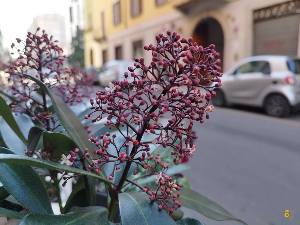 recensione-redmi-note-11-pro-5g-xiaomi