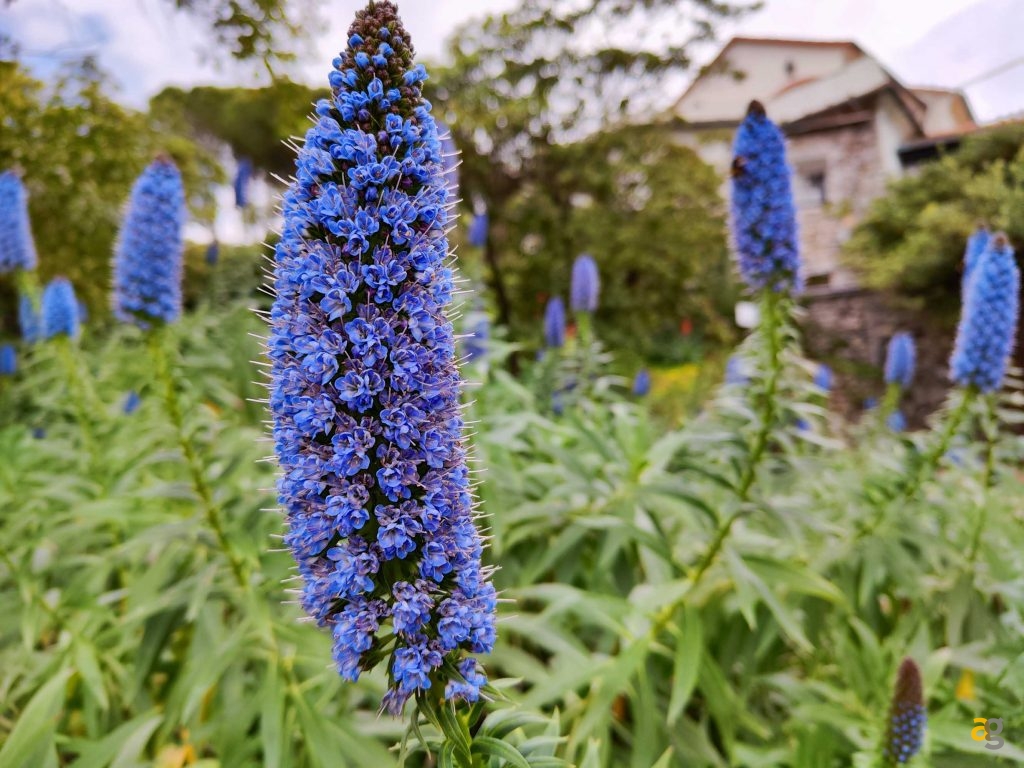 xiaomi-12-12pro-12x-watch-s1-buds-3tpro