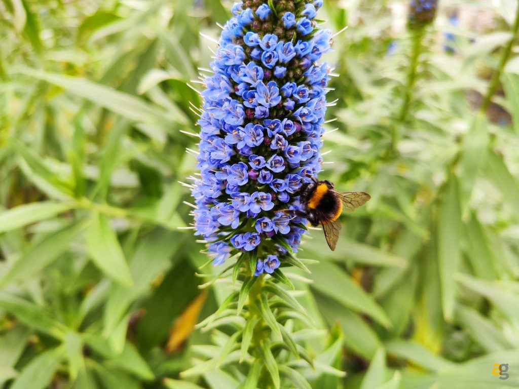 xiaomi-12-12pro-12x-watch-s1-buds-3tpro