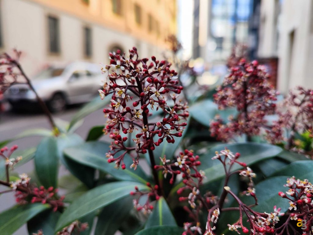 recensione-xiaomi-12-pro