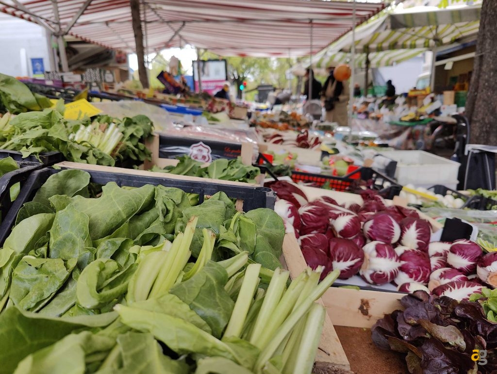 recensione-oneplus-10-pro