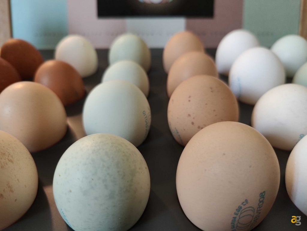 recensione-oneplus-10-pro